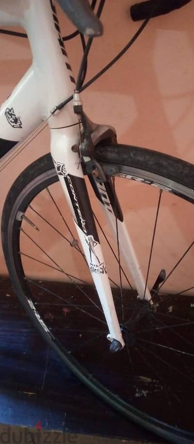 عجلة روود جاينت أصلية بحالة ممتازة - Giant Road Bike