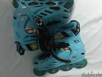 skate cougar 313