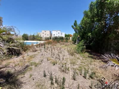Land for sale registered in King Maryout, Alexandria
