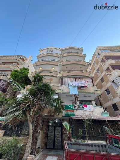 شقه للبيع بالإسكندرية العجمي شطي النخيل ٦اكتوبر الكيلو ٢١ اسكندرية مطروح