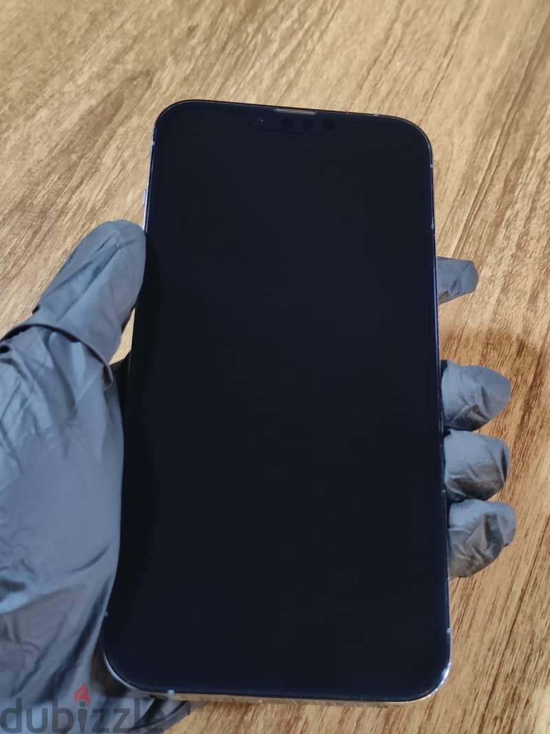 iPhone 13 Pro Max 1