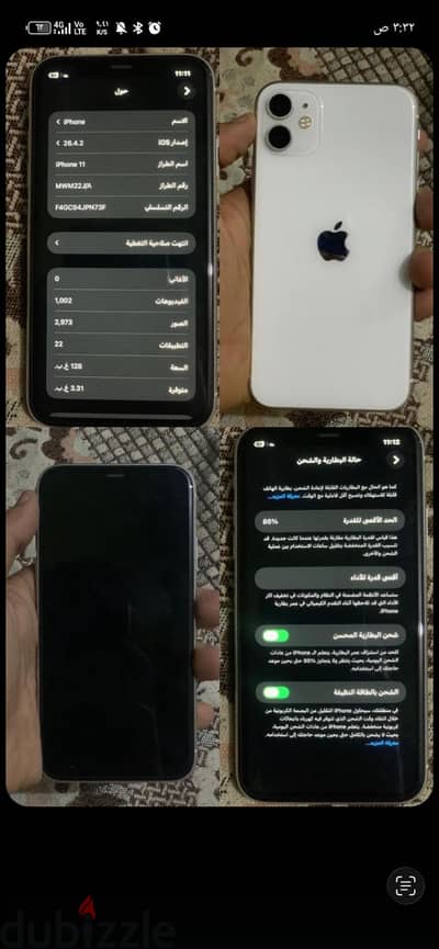 الجيزه