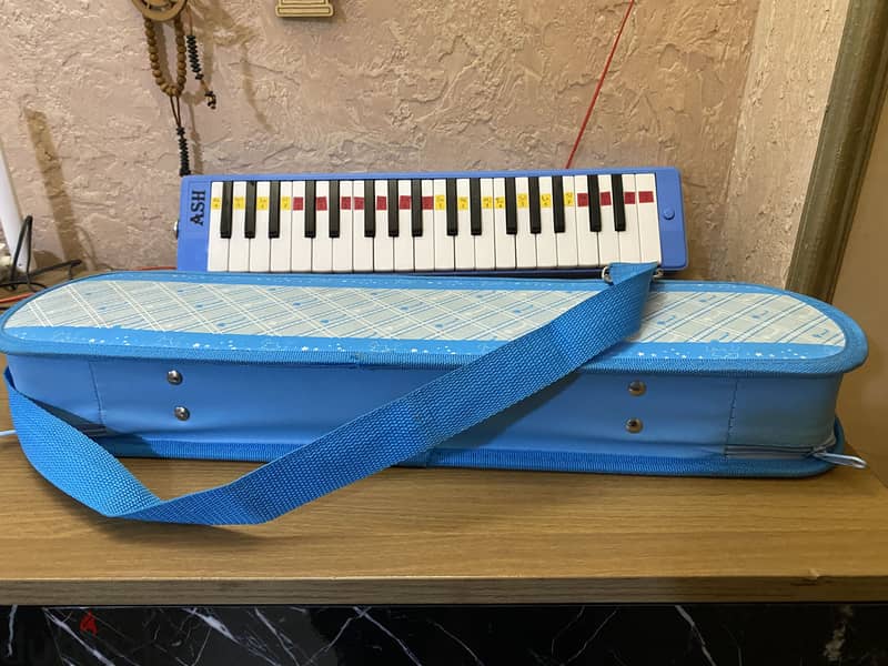 Melodica ash 37 keys 1