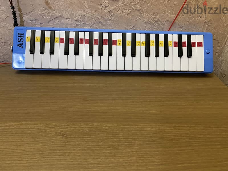 Melodica ash 37 keys 2