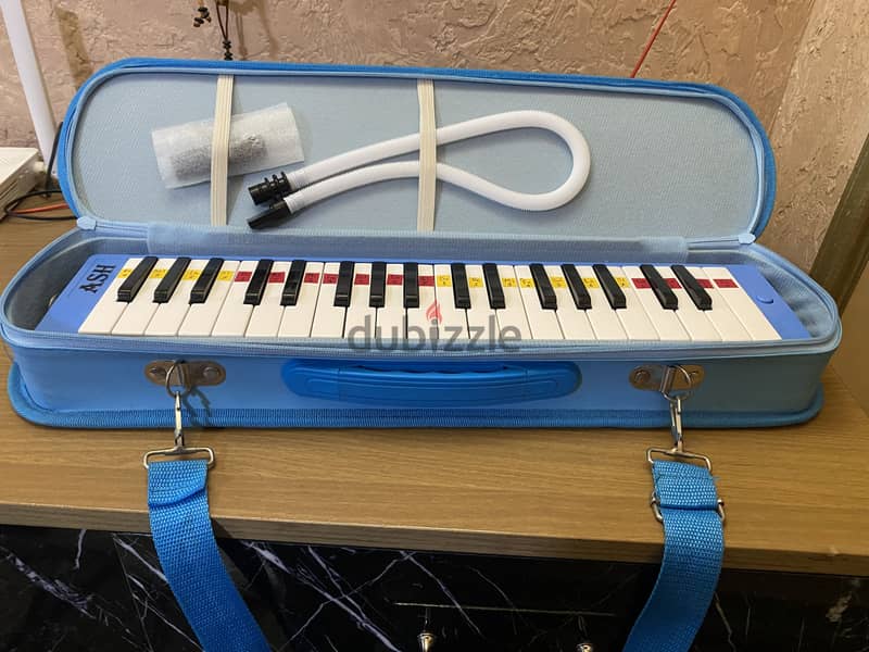 Melodica ash 37 keys 3