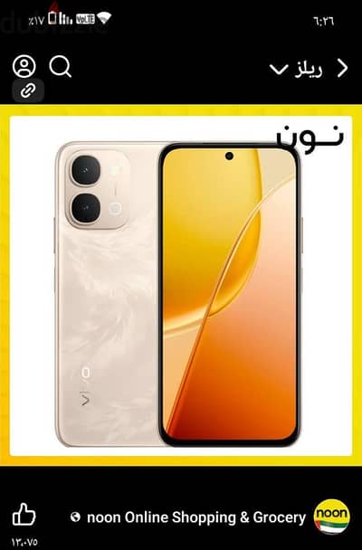 فيفو واى 31