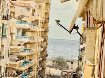 شقه للبيع بالإسكندرية العجمي شطي النخيل ٦اكتوبر الكيلو ٢١ اسكندرية مطروح