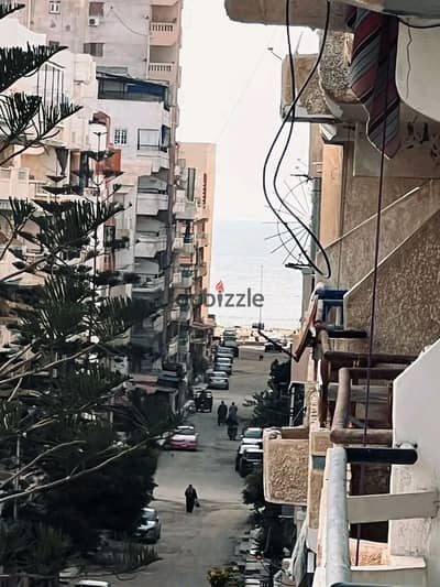 شقه للبيع بالإسكندرية العجمي شطي النخيل ٦اكتوبر الكيلو٢١ اسكندرية مطروح