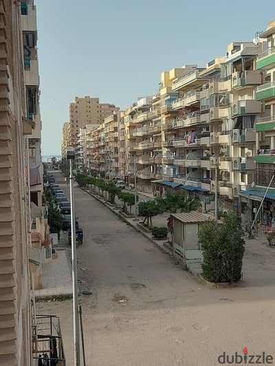شقه للبيع بالإسكندرية العجمي شطي النخيل ٦اكتوبر الكيلو ٢١ اسكندرية مطروح