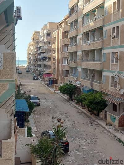 شقه للبيع بالإسكندرية العجمي شطي النخيل ٦اكتوبر الكيلو٢١ اسكندرية مطروح