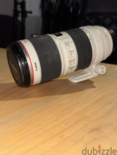 Canon 70:200 f2.8 II
