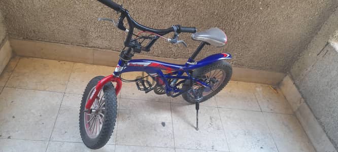 عجلة Zoom fat tire bike