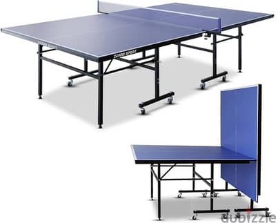 Ping pong table