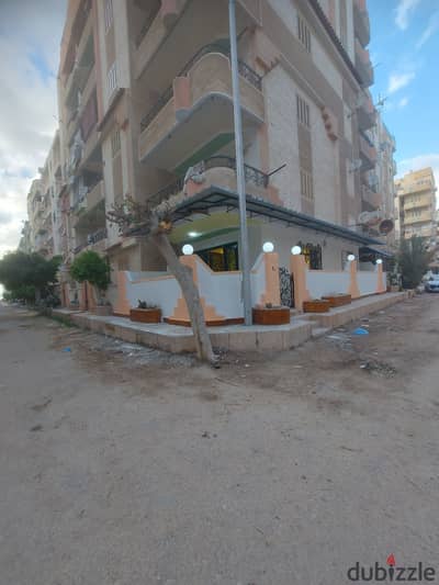 شاليه مميزه للبيع في العجمي شطي النخيل ٦اكتوبر الكيلو ٢١ اسكندرية مطروح