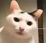 حاجه لله