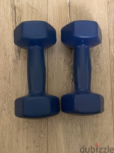 2 Dumbbell 4kg each