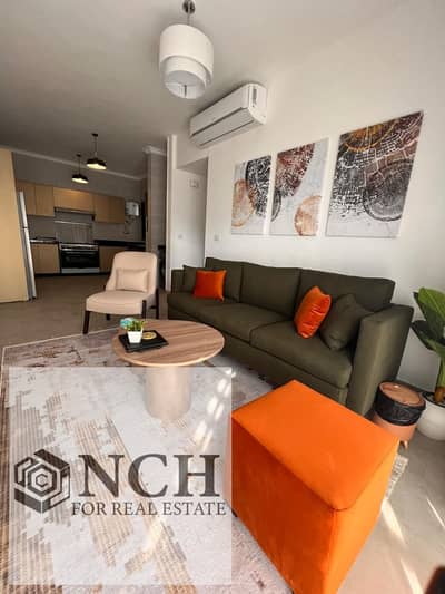 Furnished Apartment for Rent in Madinaty Brivado