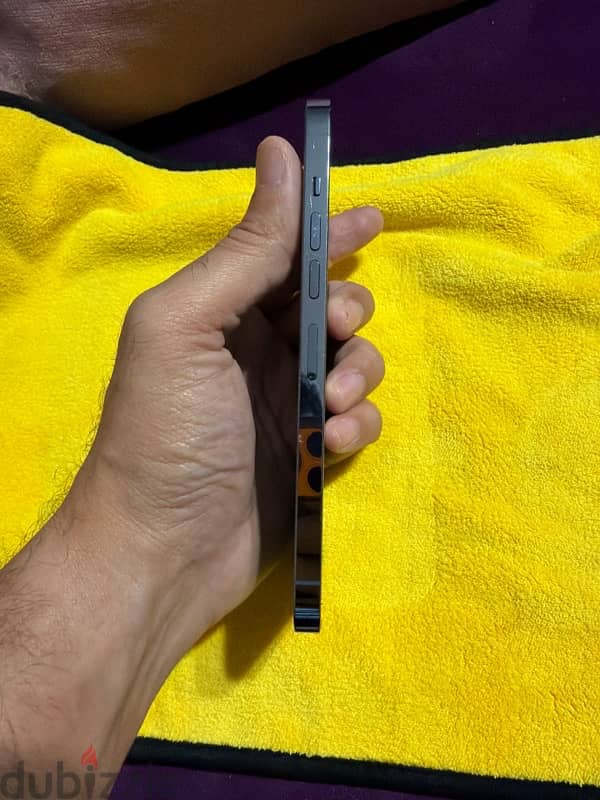 13 pro max 256 1