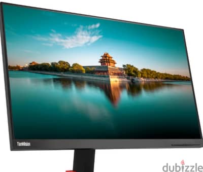 Lenovo ThinkVision P24h-10