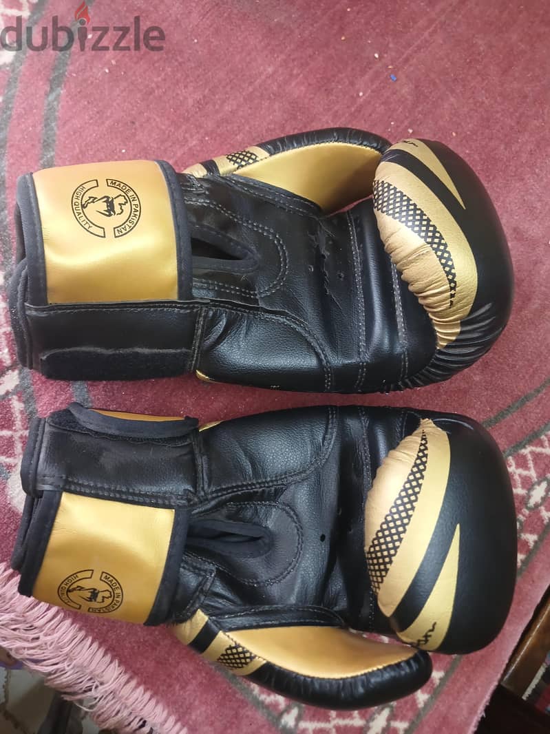 boxing gloves 1