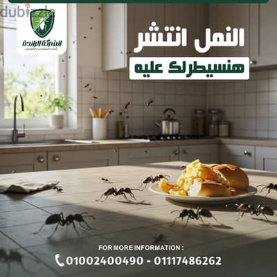 رش مبيدات حشرات المنزل بمصر