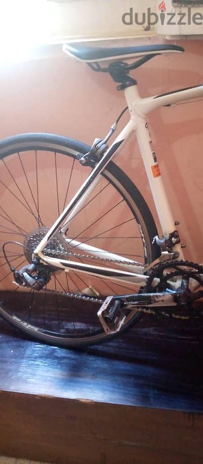 عجلة سباق جاينت أوريجينال Giant Road Bike - حالة ممتازة