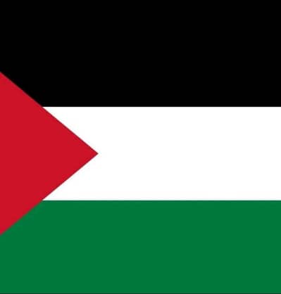 أحمد طلعت 
