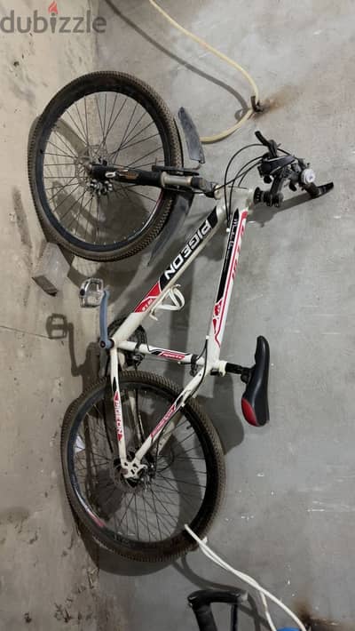 Pieggon bicycle