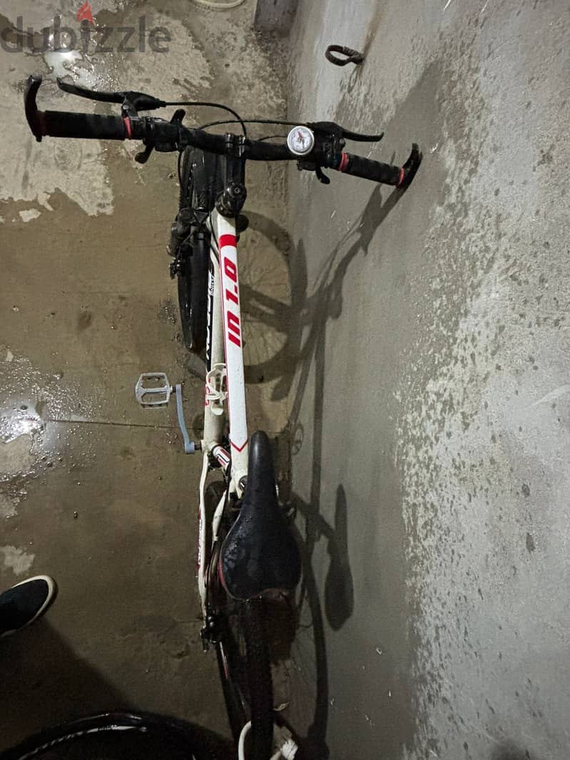 Pieggon bicycle 1