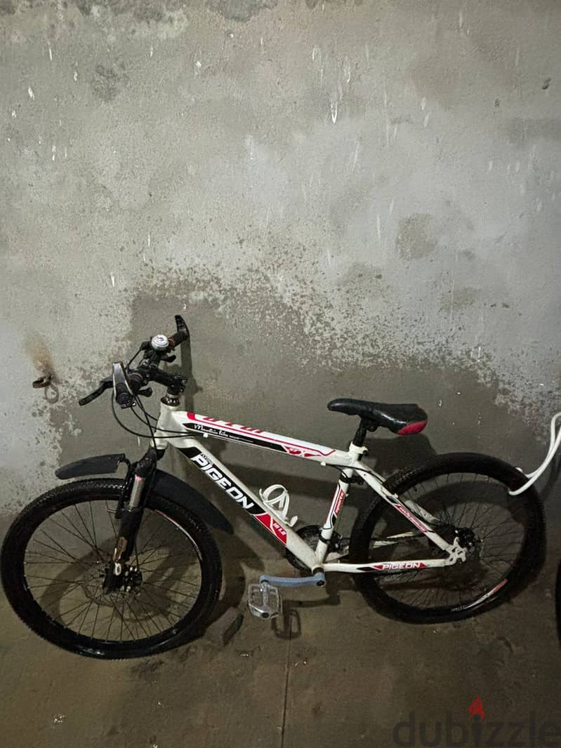 Pieggon bicycle 2