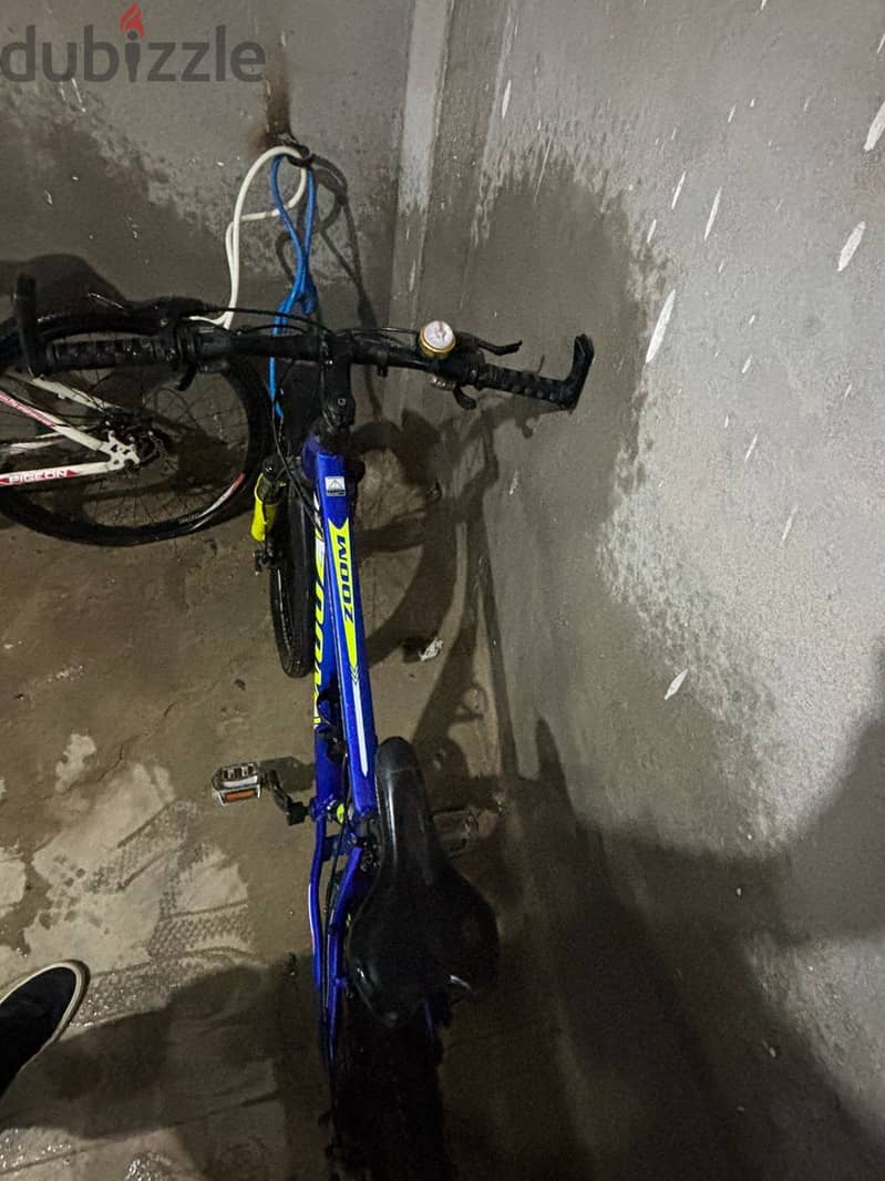 Zoom bicycle 2