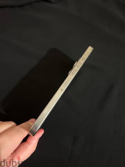 Apple - iPhone 16 Pro Max