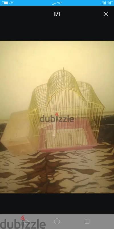 قفص عصافير