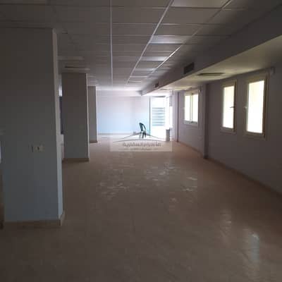 Licensed food storage warehouse for rent, 1200 sq m, Zone 1G, Obour City