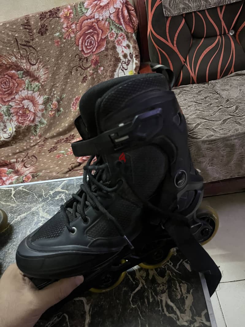 Skate oxelo 1