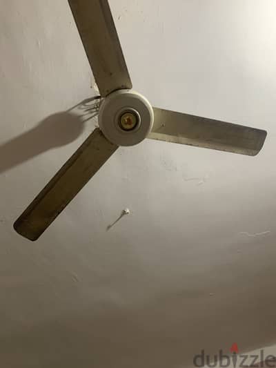 مروحة سقف للبيع