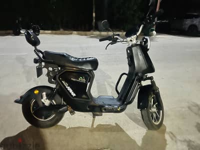 Electra tailg scooter