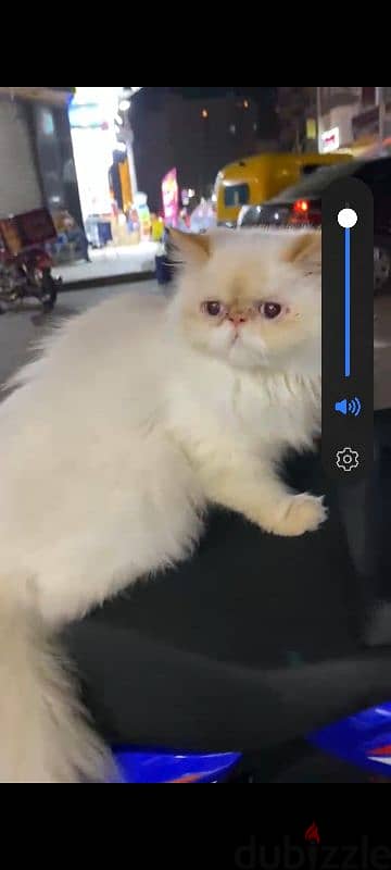 هيمالايا
