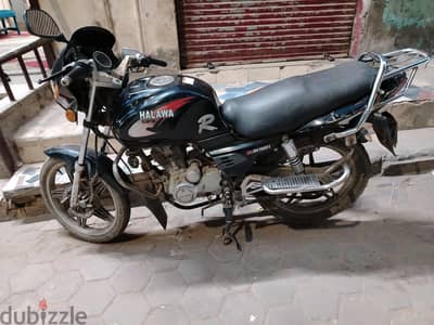 حلاوة تايجر