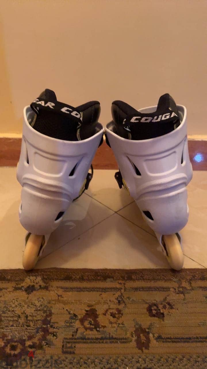 Cougar 307 3