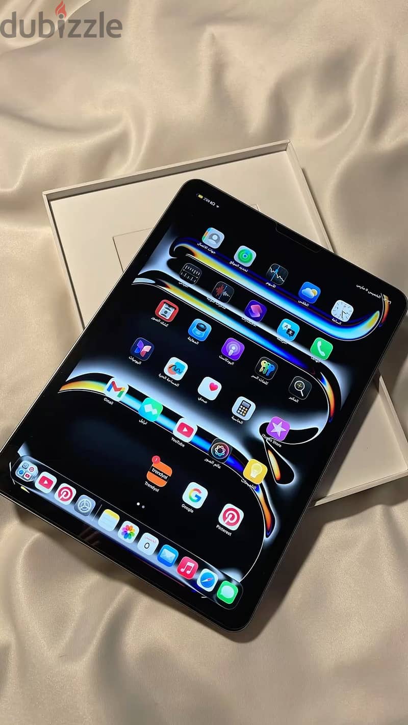 Ipad pro m4 -11 inch 1