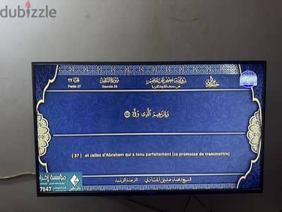٤شارع حسن هلال بالكونيسه متفرعة من الطالبية هرم