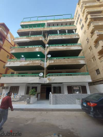 شقه للبيع بالإسكندرية العجمي شطي النخيل ٦اكتوبر الكيلو ٢١ اسكندرية مطروح
