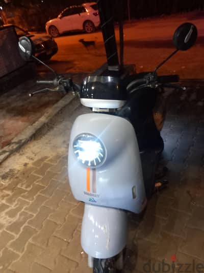 اسكوت فيجوري