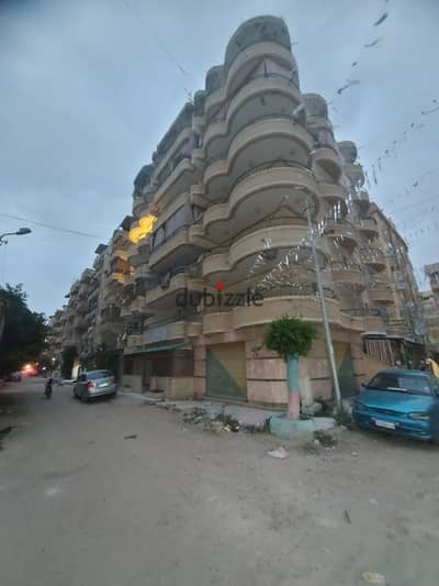 شقه للبيع بالإسكندرية العجمي شطي النخيل ٦اكتوبر الكيلو٢١ اسكندرية