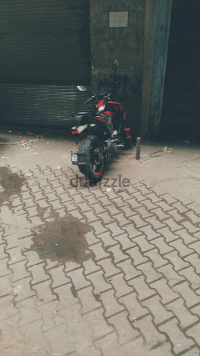 هوجان z 250