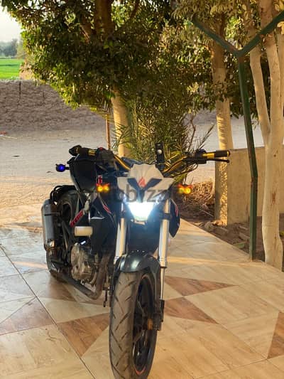 فيجورى 300 سىسى