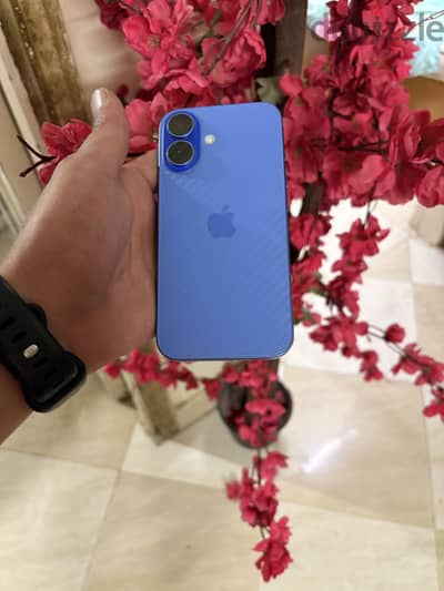 Apple - iPhone 16