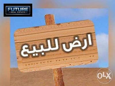 ارض 484 م في شارع ثابت في حلوان