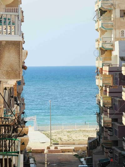 Apartment in Alexandria, Palm Beach, by the sea, ultra-luxury finishing, cash or installment